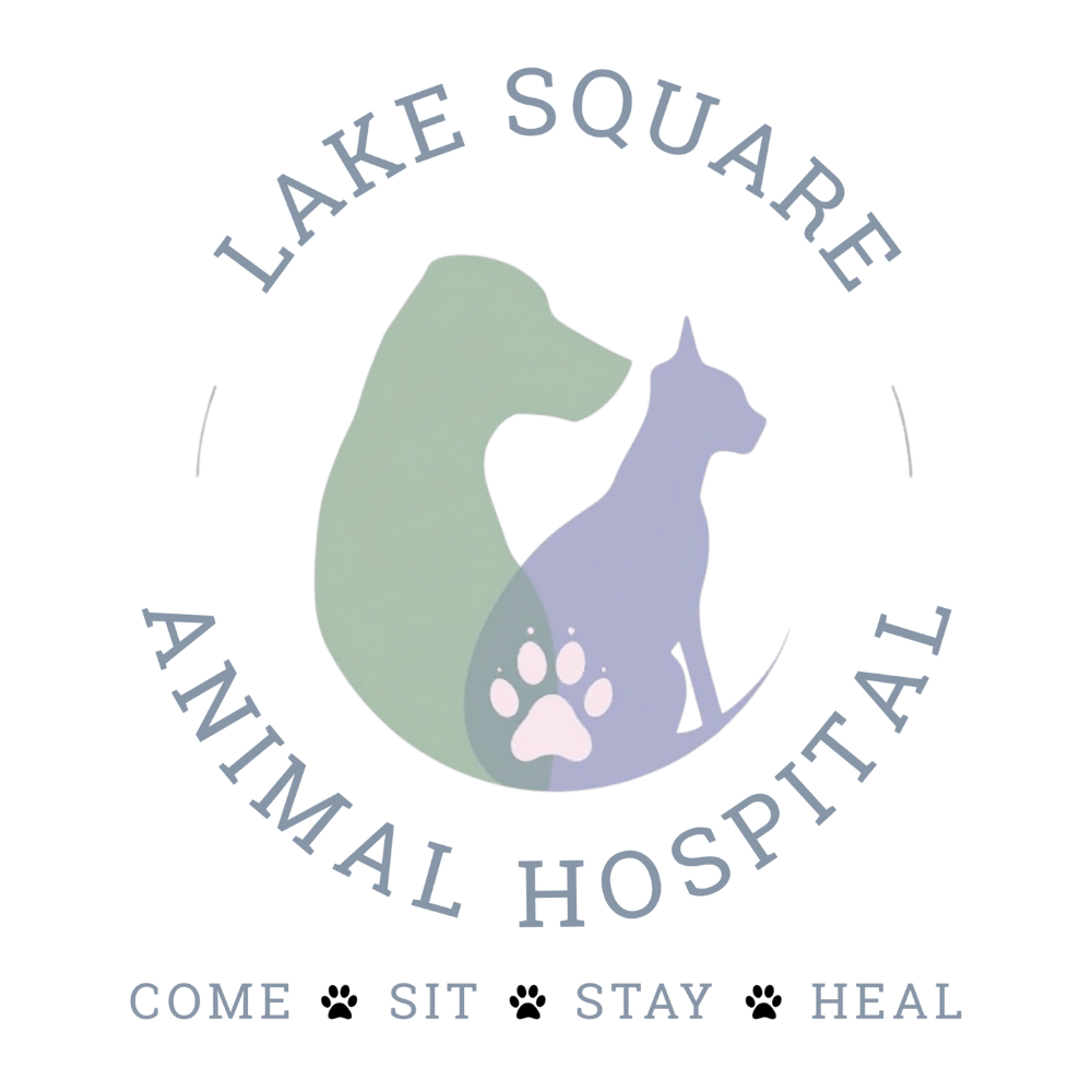 Lake Square Animal Hospital Logo